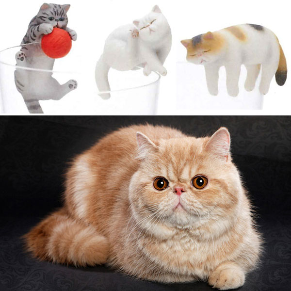 컵위의 고양이 엑죠틱 숏헤어 피규어 단품랜덤